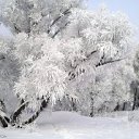 ���� Irina, ����������� - ��������� 22 ����� 2015 � ������ ���������