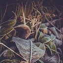 ���� ���������, ��������, 34 ���� - ��������� 8 ������ 2015 � ������ ����� 2�