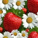 ���� ������, ������� - ��������� 25 ������ 2015 � ������ �������