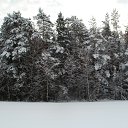 ���� Nattis, ������, 58 ��� - ��������� 9 ������� 2015 � ������ ������������ 4�4 - ���� ����� ��ѻ