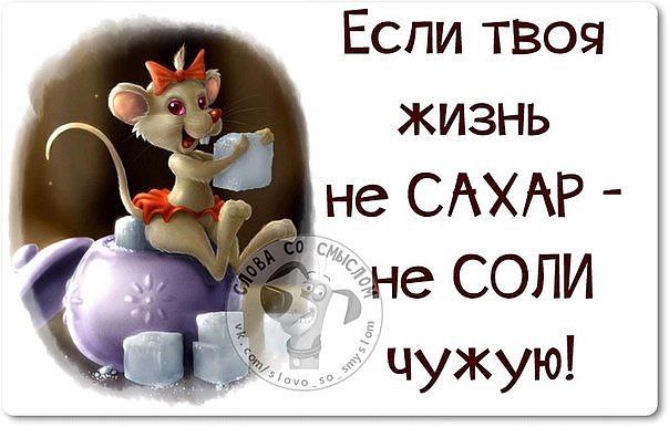  - 8  2015  08:46