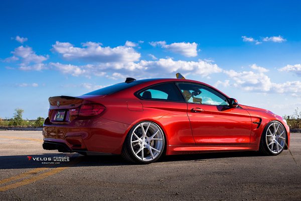 Hamann X6 - 5