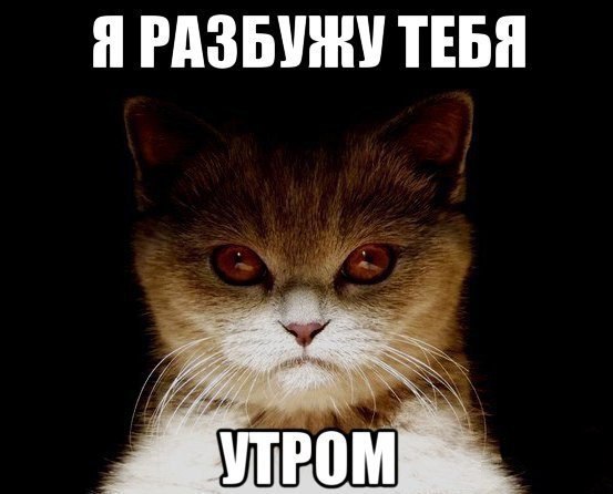  -  - 2  2015  10:28