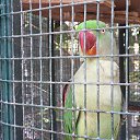  Mr.,  -  14  2015   THAILAND: PHUKET, PHI-PHI, BOND ISLAND...