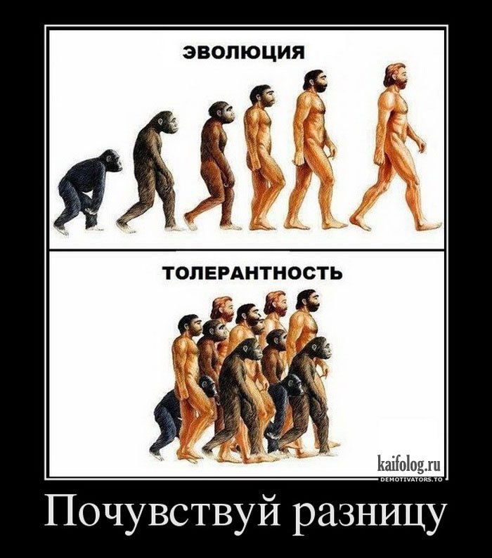  - 29  2015  18:09