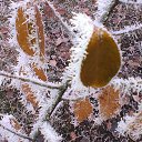 ���� �������, ������ - ��������� 14 ������� 2014 � ������ ������ ��������