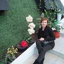 ���� �����, ������, 56 ��� - ��������� 4 ������ 2015 � ������ ���� ����������