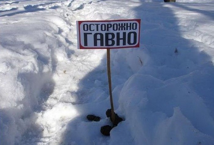 ������������ ���� - 7 ������ 2015 � 16:01
