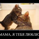 ���� ����, ������, 45 ��� - ��������� 21 ������ 2015 � ������ ���� ����������