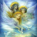 ���� ��� - B, ���������� - ��������� 8 ������ 2015 � ������ ������ ��������