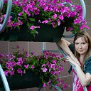 �����-�������� �����