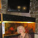  ,  , 85  -  17  2014    