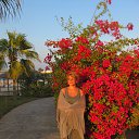 ���� �������, ������������ - ��������� 29 ������� 2014 � ������ �������� 2014�