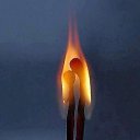 ���� ����, �������� - ��������� 5 ������ 2015 � ������ ������ ��������