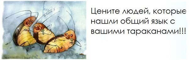 ))) - 22  2015  08:47