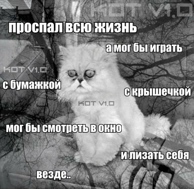  - 17  2015  11:32 - 3