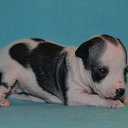 ���� ������, ������, 64 ���� - ��������� 8 ������ 2015 � ������ ������