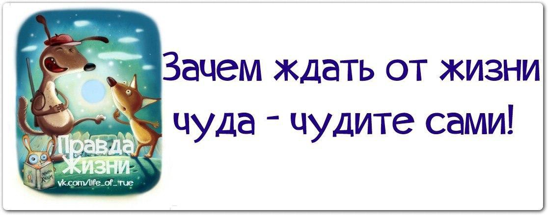 Тебя надо не чудить дерзить. Не жди чуда чудите сами. Чудите сами. Не ждем чудес чудим сами. Чудите чудеса сами.