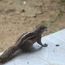 ���� �������, ������ - ��������� 29 ������� 2014 � ������ ���� ����������