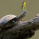 ���� �����, ��������� - ��������� 24 ������� 2015 � ������ ������ ��������