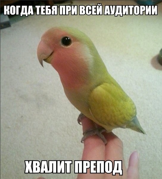    :-) - 12  2015  21:06