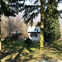  Milosh - Ne Golosuju, , 66  -  21  2015       :-)