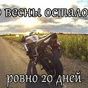 ���� �����, �����, 46 ��� - ��������� 8 ������� 2015 � ������ ������ ��������