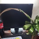 ���� �����, ������, 35 ��� - ��������� 4 ������ 2015 � ������ ������