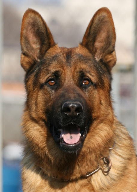   - 5  2015  02:01 - 4