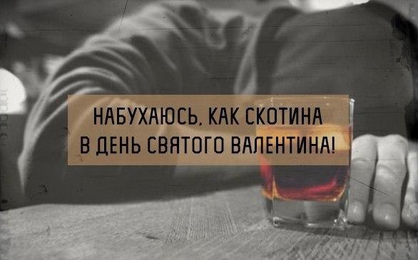     - 6  2015  02:06