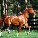 ���� Bulat, ������� - ��������� 19 ������� 2015 � ������ ���� ����������