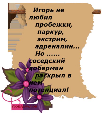   - 11  2015  15:29