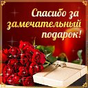 ���� �������, �����-��������� - ��������� 17 ������ 2015 � ������ �������� ��������