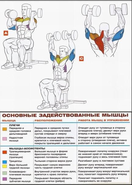  +    .  . - 6