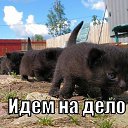 ���� �����, ������� �����-7, 54 ���� - ��������� 15 ������ 2015 � ������ �������.�