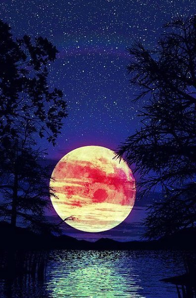 Природа есть воплощенная высшая мудрость. Гален - 7