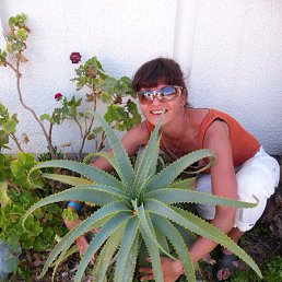 ��������, �����-���������, 55 ���