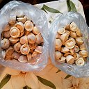 ���� ����� - Nailyshka, ���������� �����, 55 ��� - ��������� 26 ������� 2014 � ������ ������ ��������