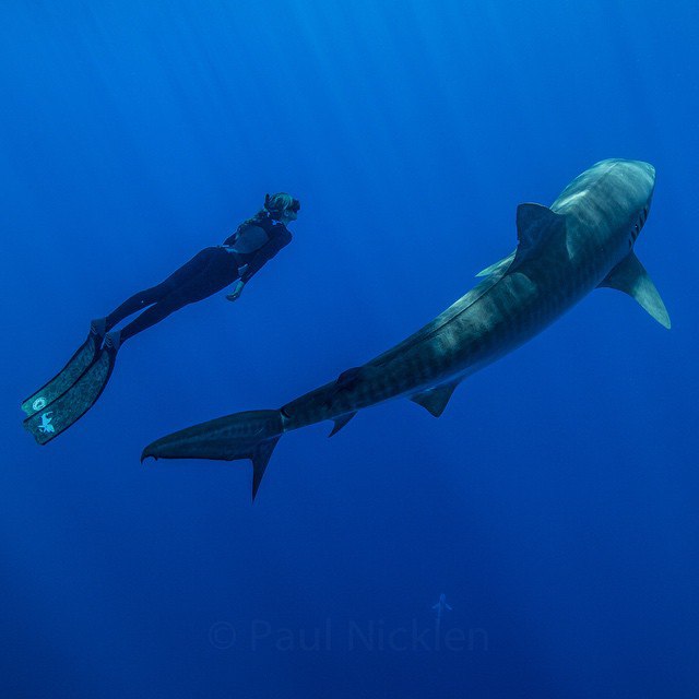   National Geographic - 19
