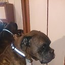 ���� �����, �����-���������, 55 ��� - ��������� 2 ������ 2015 � ������ ���� ����������