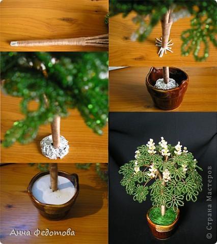  :     .:    70  ... - 5