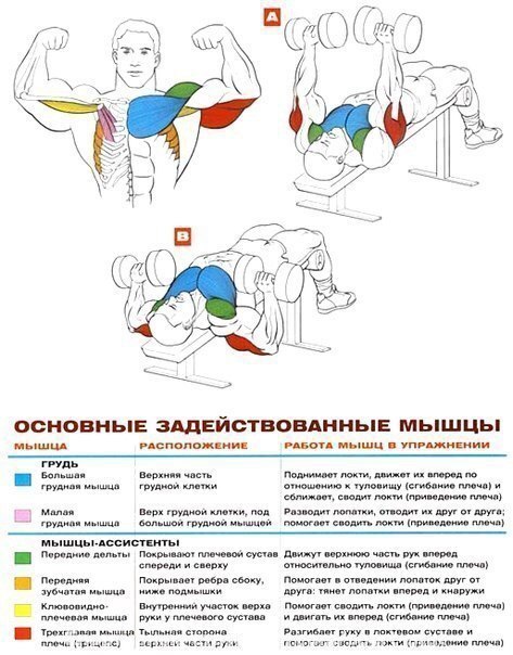  ,   !  ()      - ... - 3
