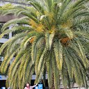 ���� ��������, �����-���������, 63 ���� - ��������� 17 ������� 2015 � ������ ��������