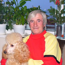 ���� Dimitar Stoyanov, ����� ������, 74 ���� - ��������� 27 ������ 2015