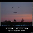 ���� ������, ���������, 49 ��� - ��������� 9 ������ 2015 � ������ ������ ��������