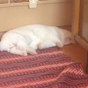 ���� ������, ������, 35 ��� - ��������� 14 ������ 2015 � ������ �:-)�