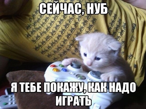       - 22  2014  13:48
