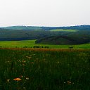  , , 49  -  25  2015    