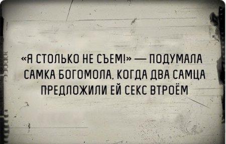  - 28  2014  03:33