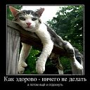 ���� ���������, ��������, 76 ��� - ��������� 10 ������� 2015 � ������ ������ ��������